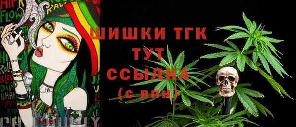 дмт Новозыбков
