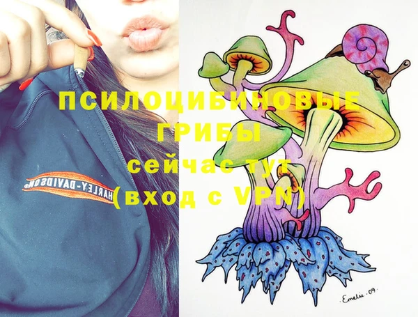 героин Новодвинск