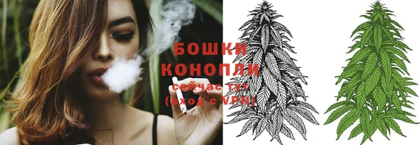 дмт Новозыбков