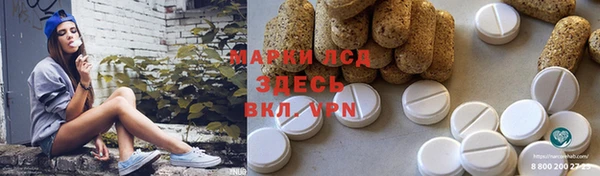 дмт Новозыбков