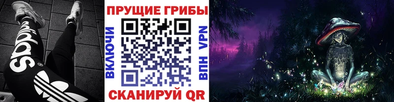 Галлюциногенные грибы Psilocybine cubensis  Купить  Яблоновский 